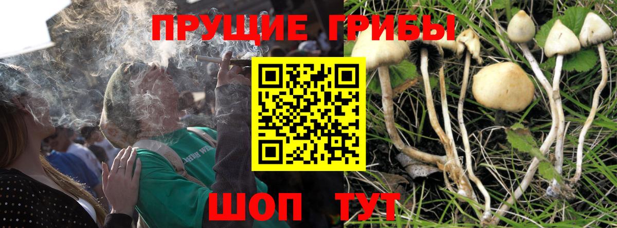 Тутаев  Галлюциногенные грибы прущие грибы  Галлюциногенные грибы GOLDEN TEACHER  Вход с VPN 